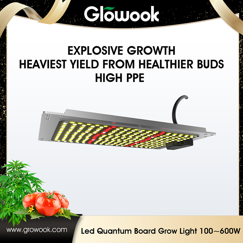 New Fashion Design for Hydroponic Grow Tent -
 LED Quantum board 100W-600W – Radiant