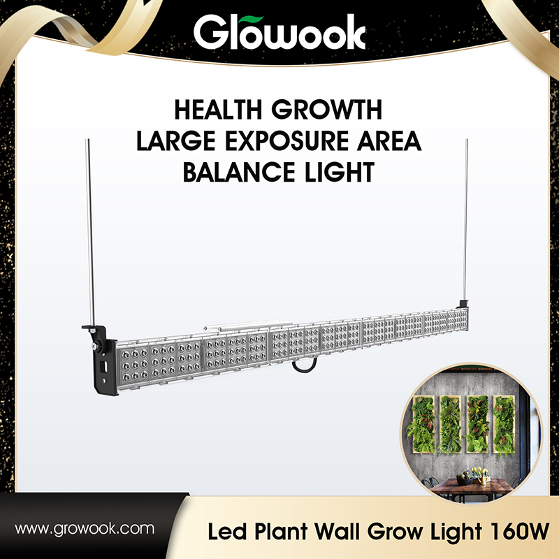 Manufactur standard Agriculture Garden Plant Grow Light -
 Led Plant Wall Grow Light – Radiant