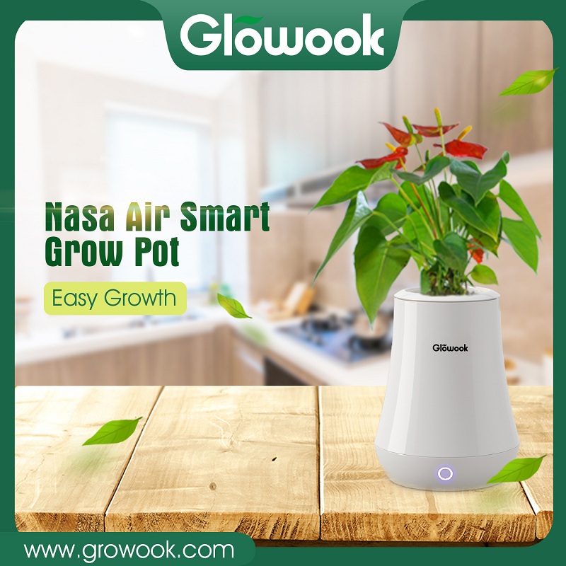 Cheap PriceList for Hydroponic Garden Pot -
 NASA air smart growpot – Radiant