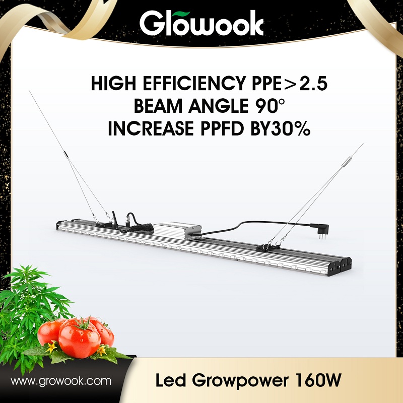 Wholesale Dealers of Furniture Garden -
 LED Growpower 160w – Radiant