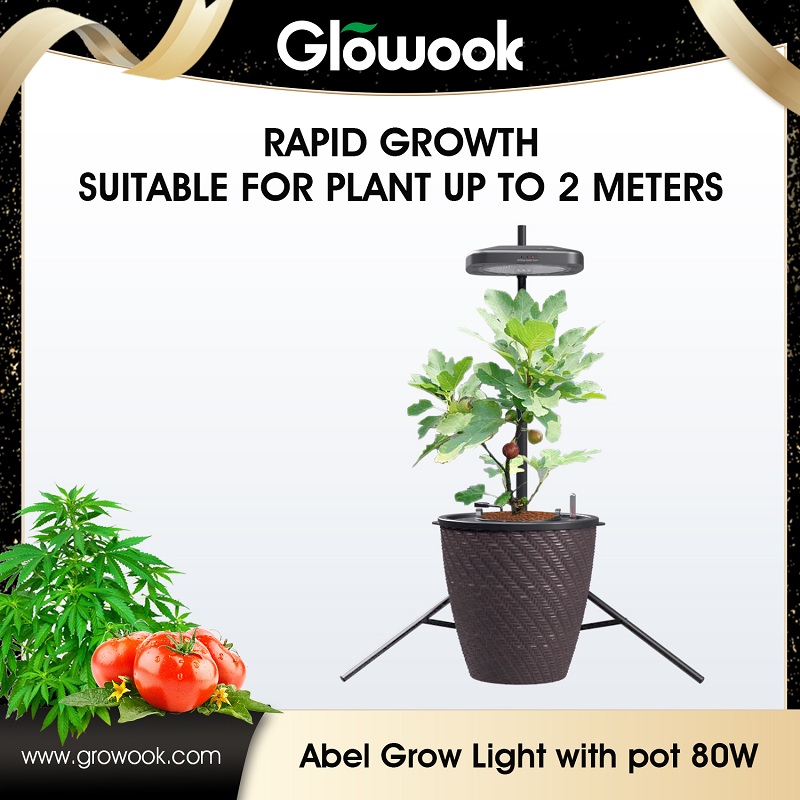 Super Lowest Price Led Kitchen Garden -
 Abel Growlight 80W – Radiant