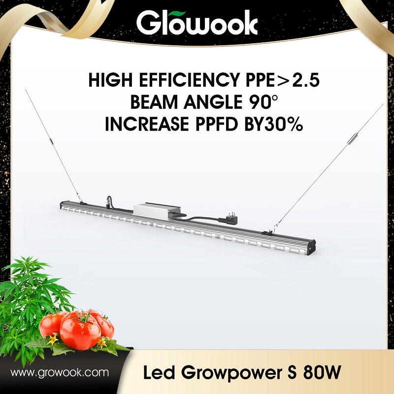 2017 High quality Tower Garden Grow Led Light -
 LED Growpower S – Radiant