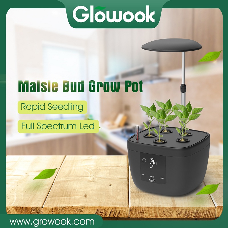 PriceList for Led Horticulture Lighting -
 Maisie bud iGrowPot – Radiant