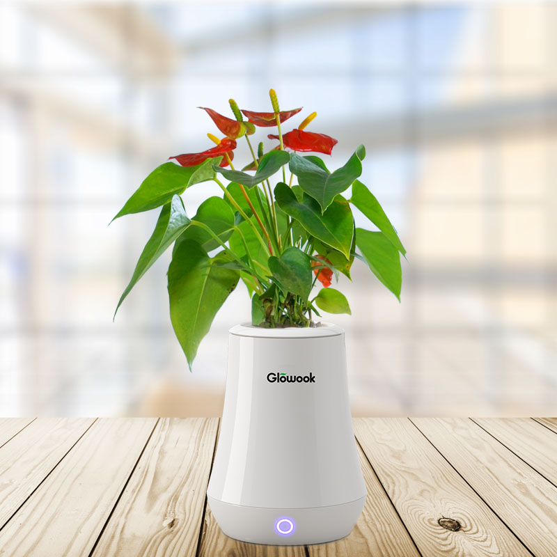 Good quality Advanced Led Grow Light -
 NASA air smart growpot – Radiant