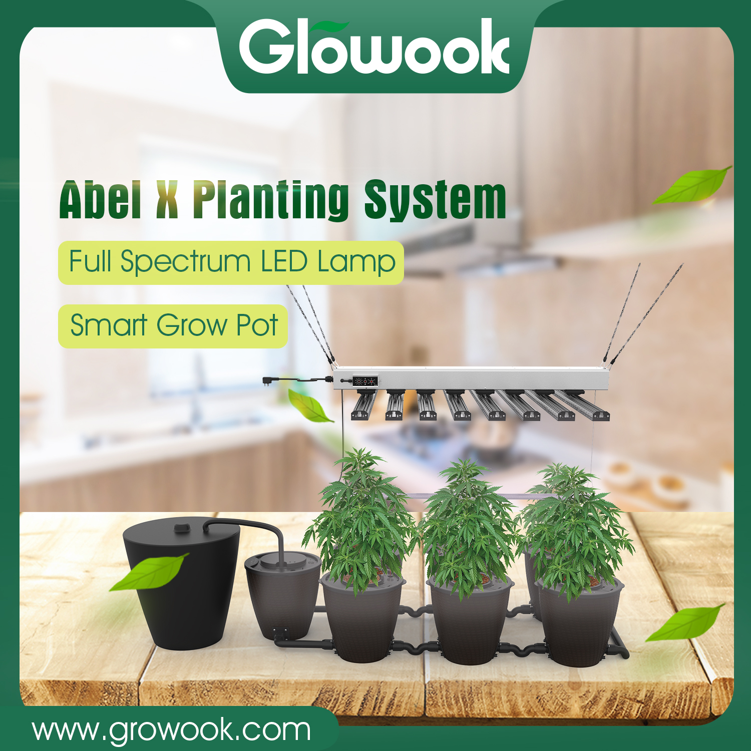 Cheapest PriceBox For Growing Herbs -
 Abel X Planting System – Radiant