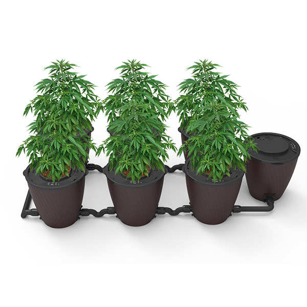 Professional ChinaAquaponics Growing Systems Hydroponics -
 Abel X Planting System – Radiant