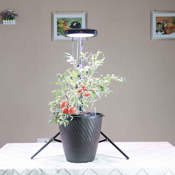Chinese Professional 300w Led Grow Light -
 Abel iGrowPot – Radiant