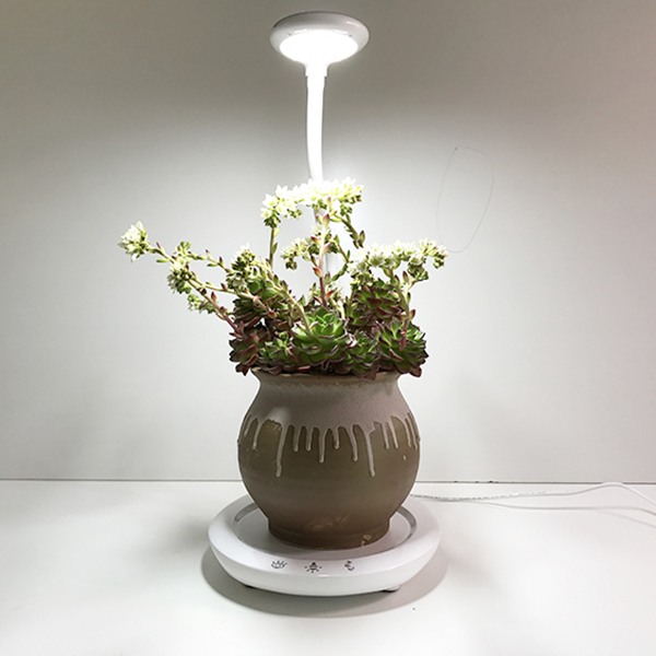 professional factory for Indoor Hydroponics Equipment Kit -
 EVA desk grow light – Radiant