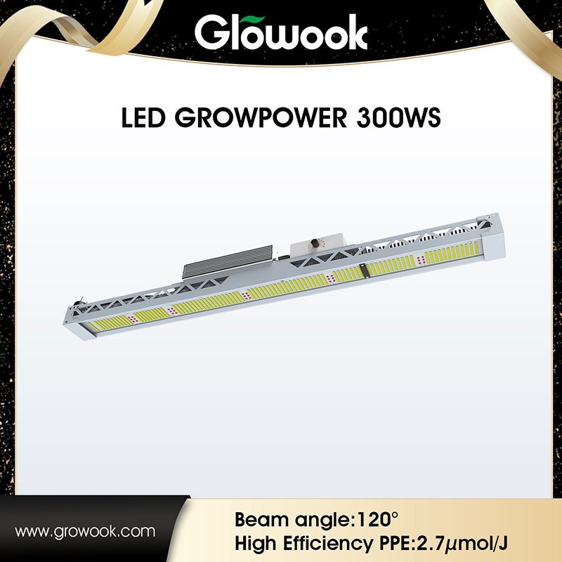 Factory source Double Ended Hps Plant Light Grow -
 LED Growpower 300WS – Radiant
