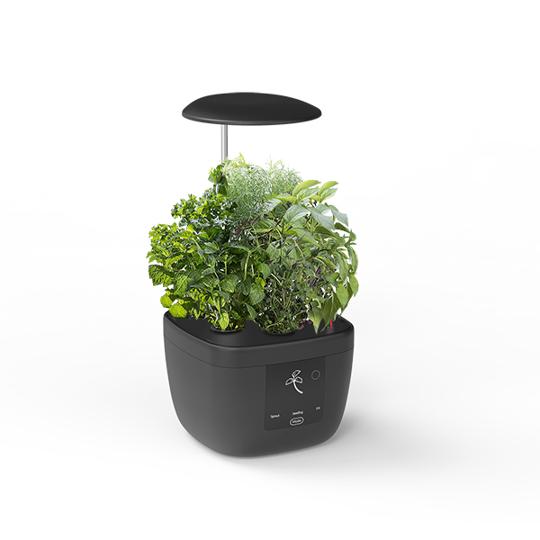 2017 New Style Grow Led Lights -
 Maisie bud iGrowPot – Radiant